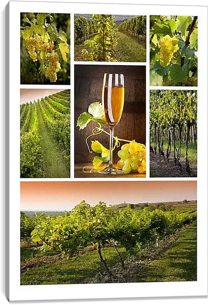 Постер на подрамнике - Виноградники. Солнечный виноградник.