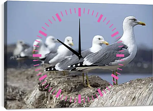 Часы картина - Чайки