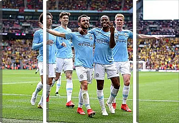 Модульная картина - Празднование гола. Манчестер Сити. Manchester City