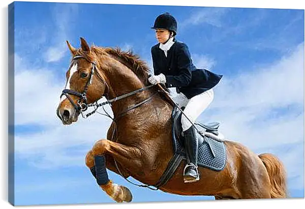 Постер на подрамнике - Конкур