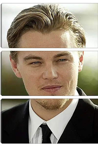 Модульная картина - Леонардо Ди Каприо. Leonardo DiCaprio