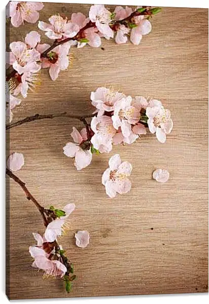 Постер на подрамнике - Сакура