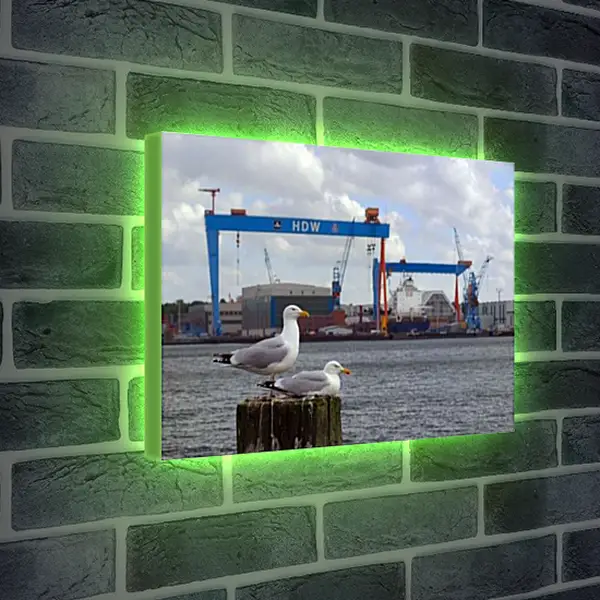 Лайтбокс световая панель - Чайки