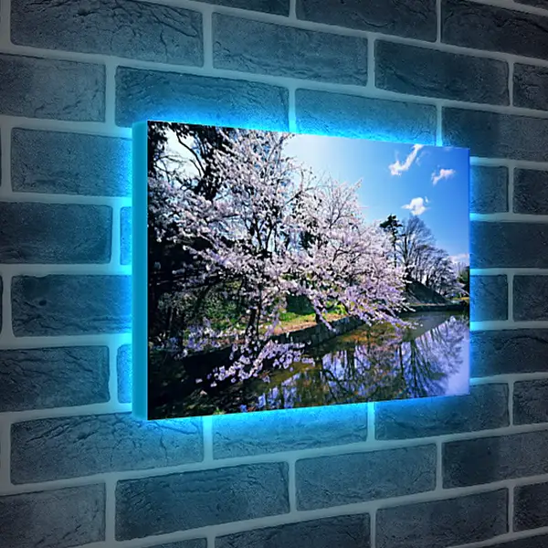 Лайтбокс световая панель - Весна