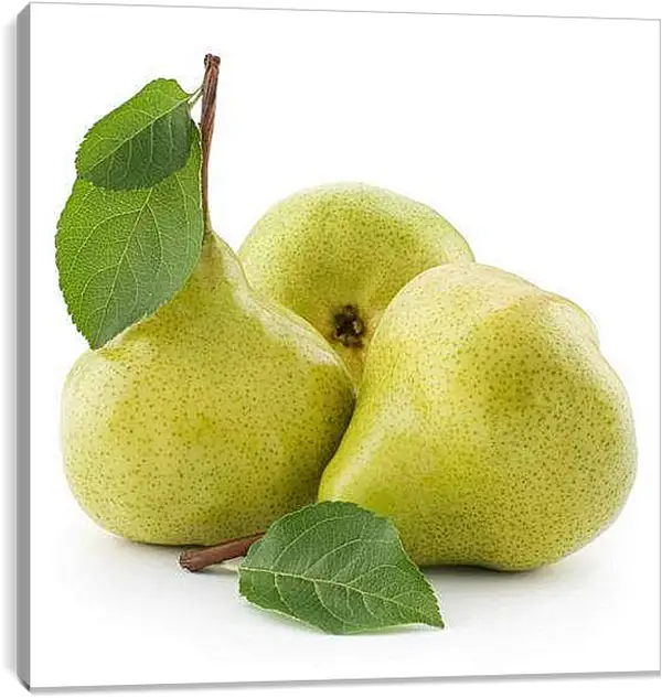 Постер на подрамнике - Зеленые груши. Сочные Груши.