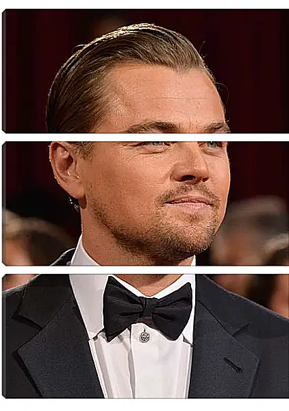 Модульная картина - Леонардо Ди Каприо. Leonardo DiCaprio