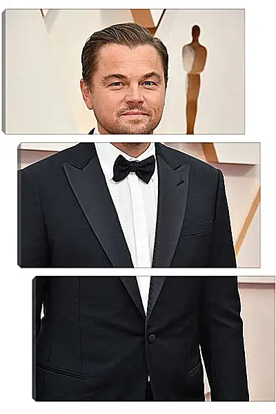 Модульная картина - Леонардо Ди Каприо. Leonardo DiCaprio