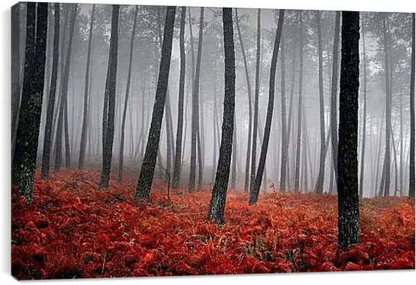 Постер на подрамнике - Осень