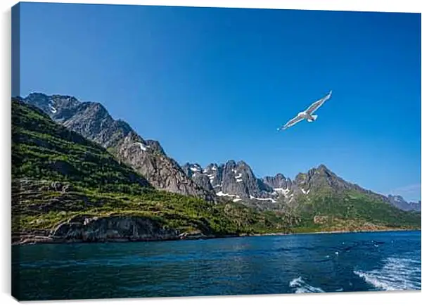 Постер на подрамнике - Чайка