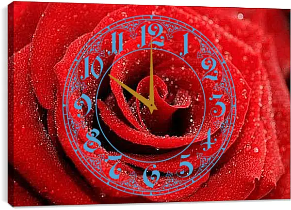 Часы картина - Роза с каплями росы