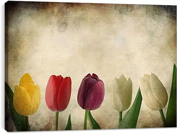 Постер на подрамнике - Тюльпаны
