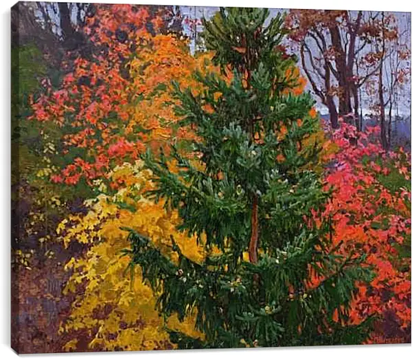 Постер на подрамнике - Из окна