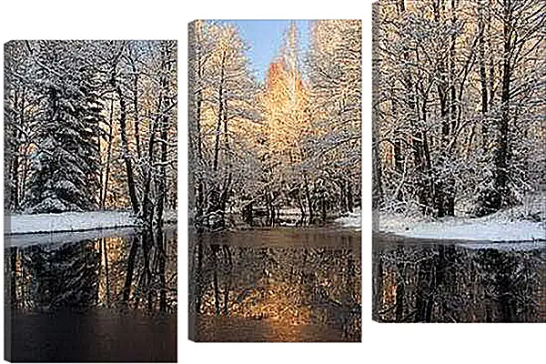 Модульная картина - Немного снега в лесу