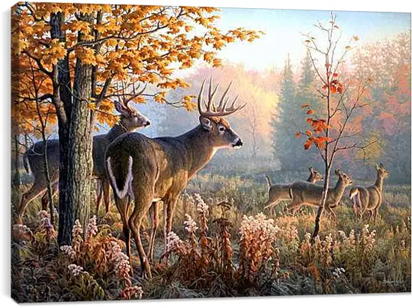 Постер на подрамнике - Олени