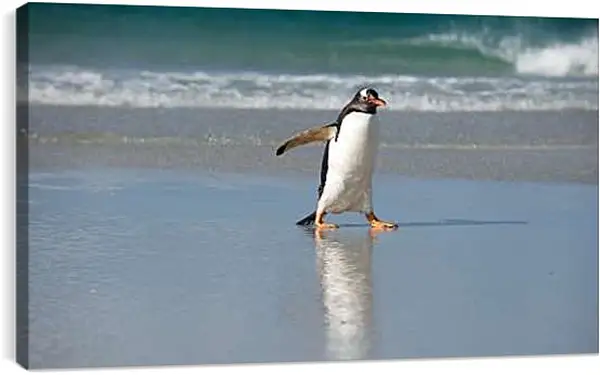Постер на подрамнике - Идущий пингвин