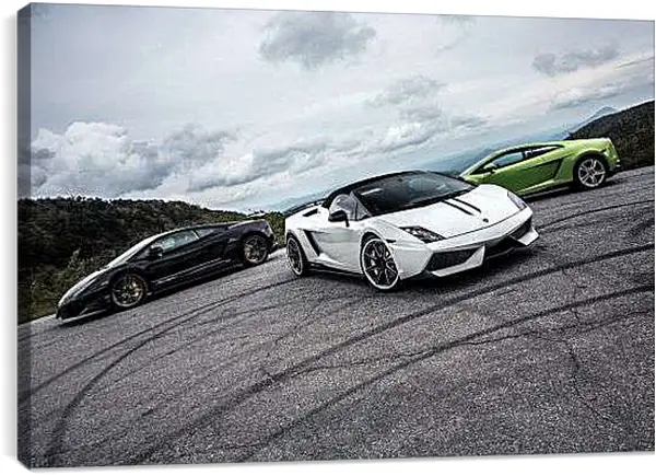 Постер на подрамнике - Три Ламборгини