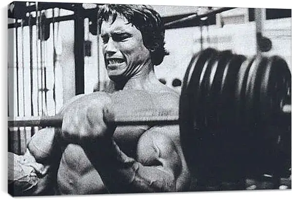 Постер на подрамнике - Арнольд Шварценеггер (Arnold Schwarzenegger)