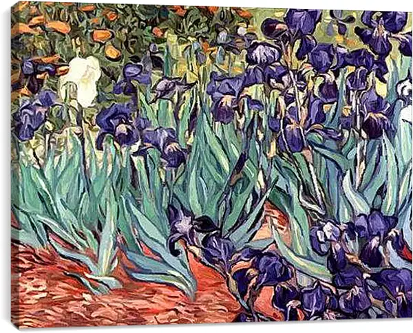 Постер на подрамнике - Irises. Винсент Ван Гог