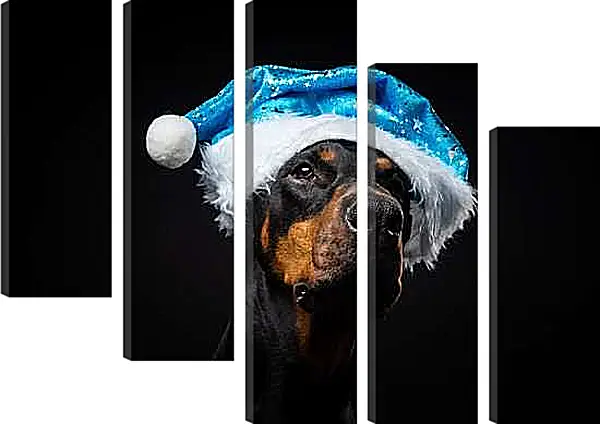 Модульная картина - Собака в новогодней шапке