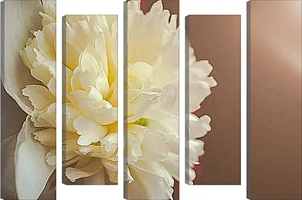 Модульная картина - Пион жёлтый