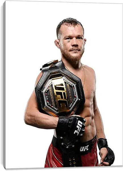 Постер на подрамнике - UFC. MMA. Пётр Ян