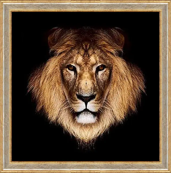 Картина в раме - лев