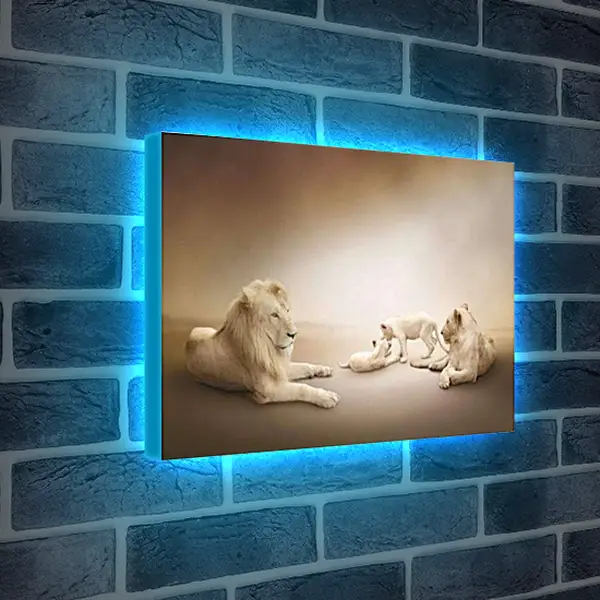Лайтбокс световая панель - Львы