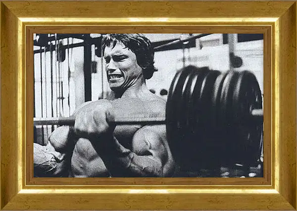 Картина в раме - Арнольд Шварценеггер (Arnold Schwarzenegger)