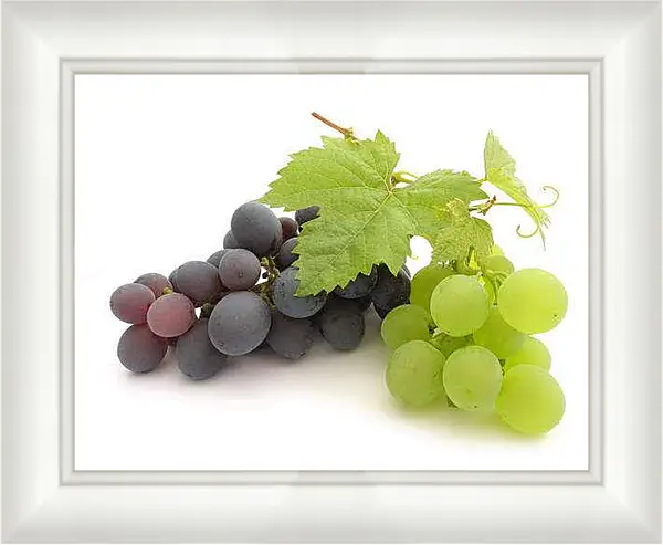 Картина в раме - Гроздья винограда. Спелый урожай.