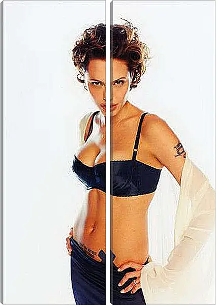 Модульная картина - Angelina Jolie - Анджелина Джоли