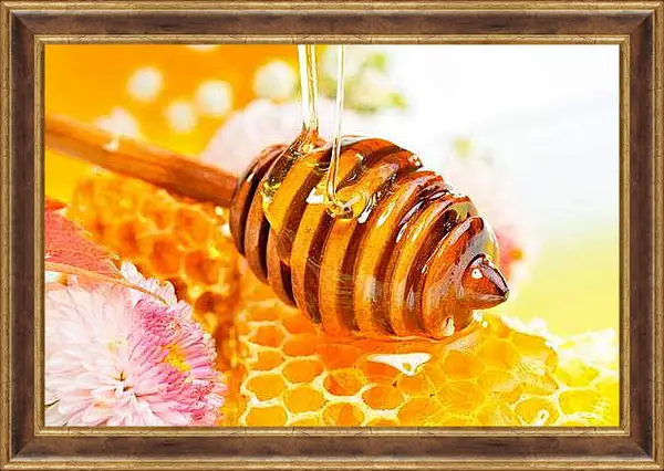 Картина в раме - Мед и цветок. Сладкое утро.