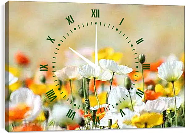 Часы картина - Белые маки