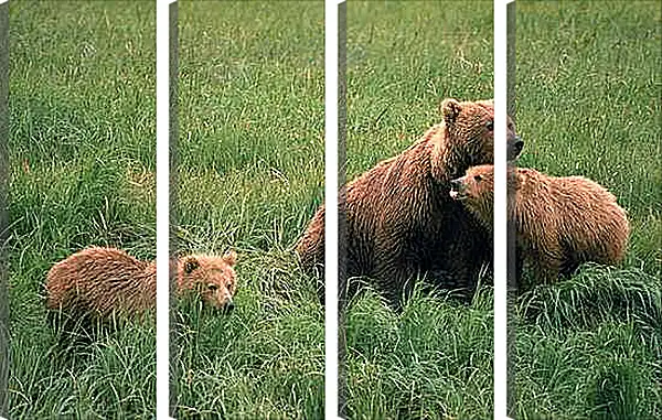 Модульная картина - Медведи