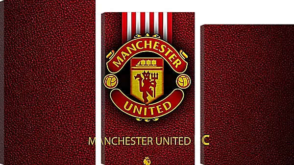 Модульная картина - Эмблема ФК Манчестер Юнайтед