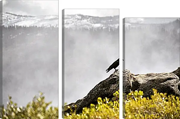 Модульная картина - Чёрный ворон на камне на фоне скалы