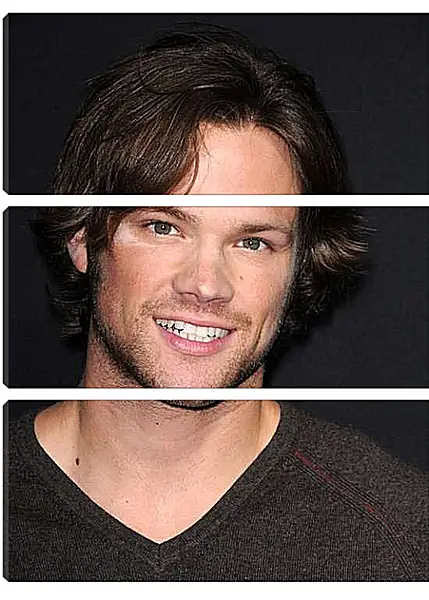 Модульная картина - Джаред Падалеки. Jared Padalecki