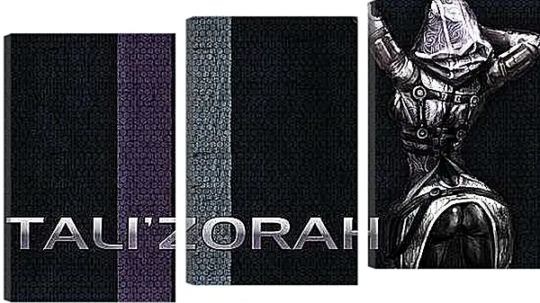 Модульная картина - Mass Effect 3