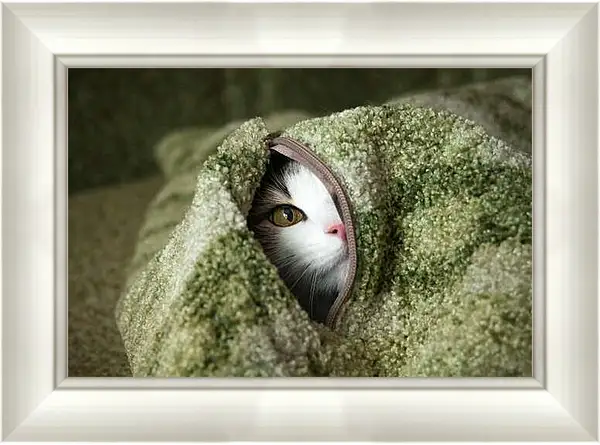 Картина в раме - Портрет кошки на зеленом фоне