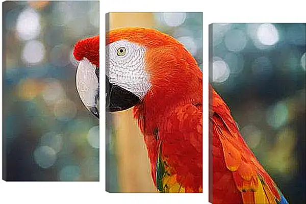 Модульная картина - Попугай