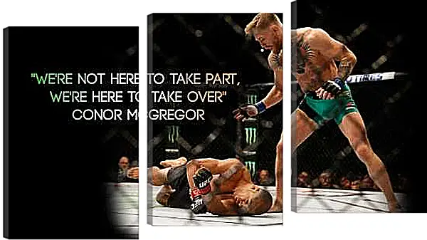 Модульная картина - UFC. MMA. Бой. Конор МакГрегор.