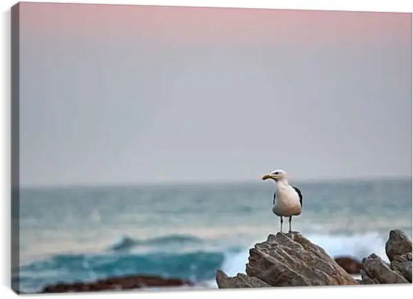 Постер на подрамнике - Чайка