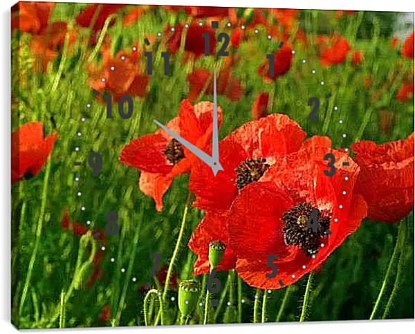Часы картина - Маки в близи