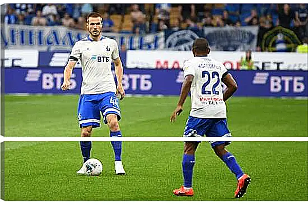Модульная картина - Контроль мяча. ФК Динамо Москва. FC Dynamo Moscow