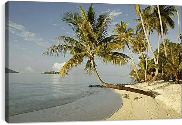 Постер на подрамнике - Лето