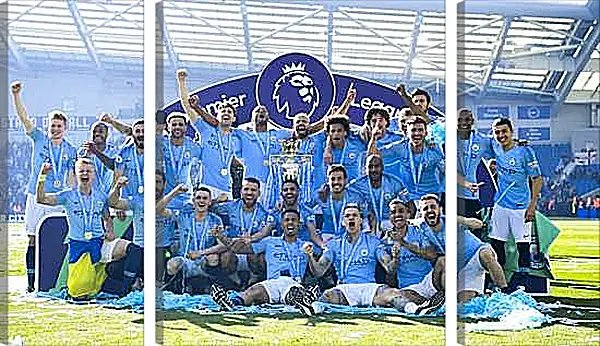 Модульная картина - Победа в АПЛ. ФК Манчестер Сити. FC Manchester City