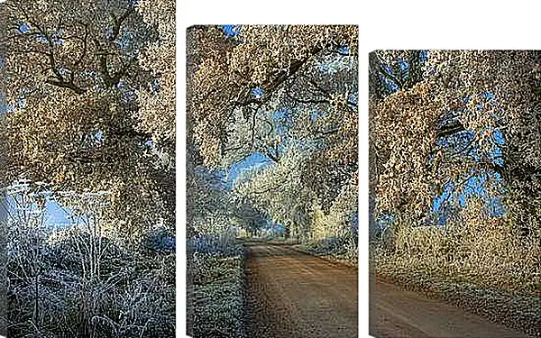 Модульная картина - Зима