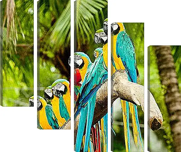 Модульная картина - Много попугаев