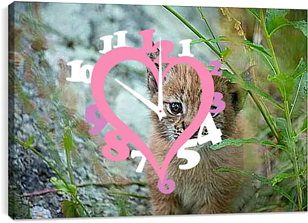 Часы картина - Рысь