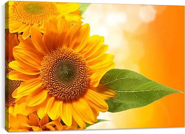 Постер на подрамнике - Подсолнух