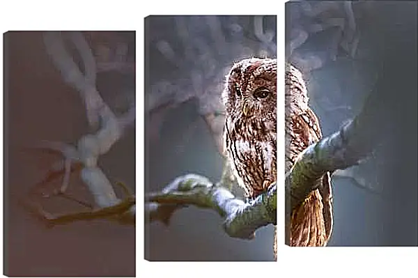 Модульная картина - Сова